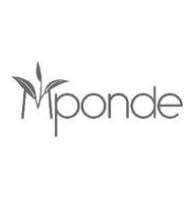 Mponde Holding Company Limited_198.jpeg
